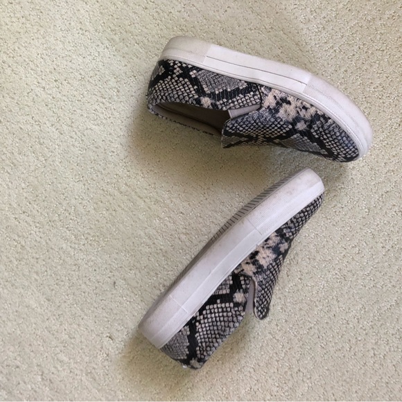 Steve Madden Gills reptile pattern slip-on sneaker - Picture 6 of 7